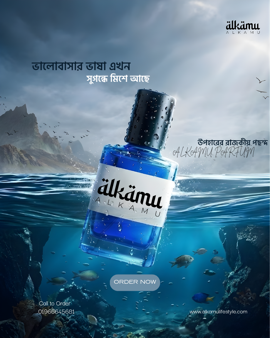 Alkamu Design Project 3